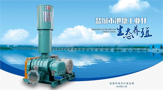 华东罗茨式增氧机 华东罗茨式增氧机