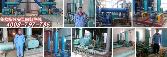 3叶现场图.jpg 3叶现场图.jpg