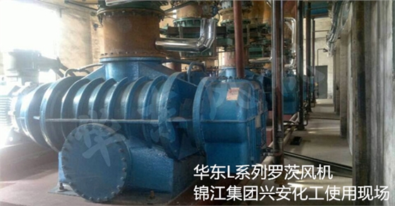 二叶罗茨风机 二叶罗茨风机