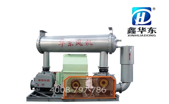 shuangji620.jpg 双级罗茨风机01