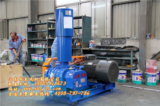 污水处理用罗茨风机 污水处理用罗茨风机