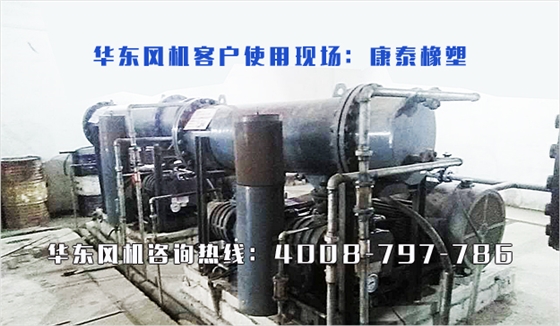 二叶罗茨风机 二叶罗茨风机