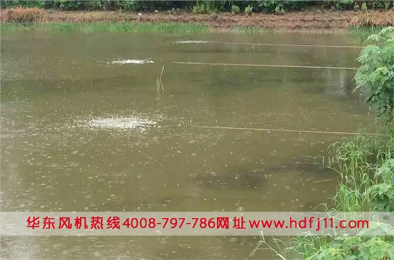 微孔曝气 微孔曝气