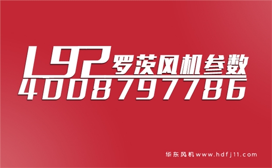 L92罗茨鼓风机.jpg L92罗茨鼓风机.jpg