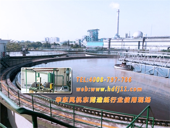 污水处理罗茨风机 污水处理罗茨风机