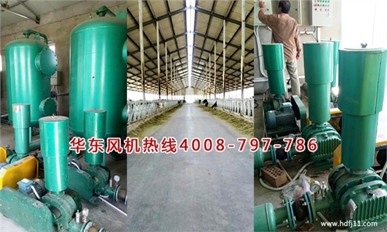 养殖行业用罗茨风机 养殖行业用罗茨风机