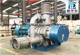 HDSR-200WN罗茨蒸汽压缩机