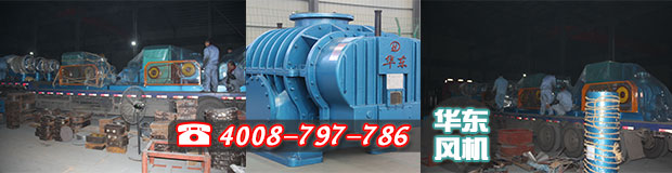 二叶罗茨风机连夜发货 二叶罗茨风机连夜发货