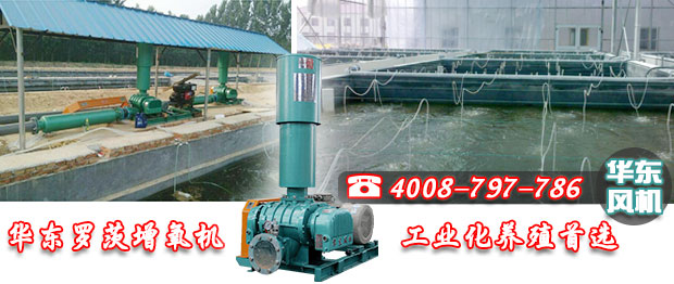 罗茨增氧机 罗茨增氧机