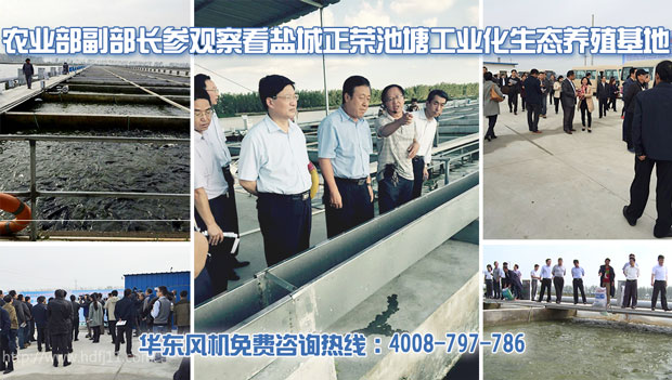 水产养殖罗茨风机 水产养殖罗茨风机