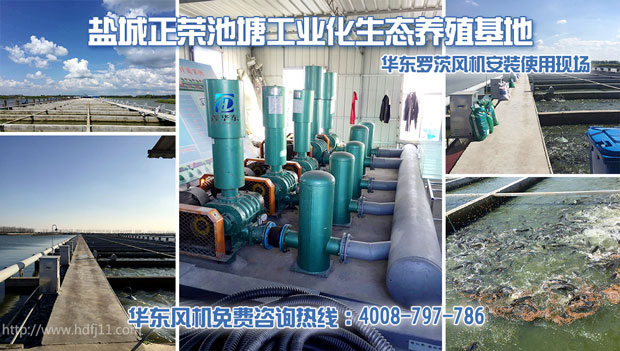 水产养殖罗茨风机 水产养殖罗茨风机