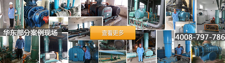 污水曝气罗茨风机 华东客户案例 污水曝气罗茨风机 华东客户案例