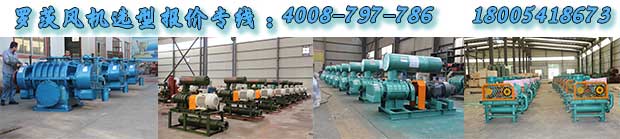 污水处理用罗茨风机 污水处理用罗茨风机