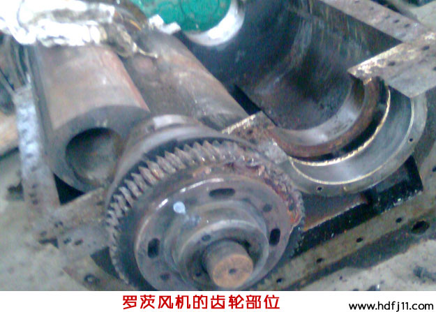 二叶罗茨风机拆装 二叶罗茨风机拆装