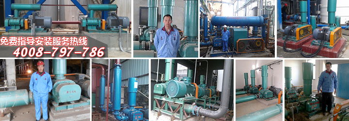 曝气风机使用案例 曝气风机使用案例