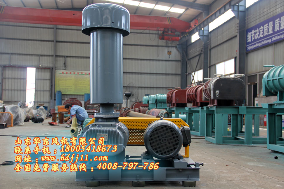 鲁式鼓风机