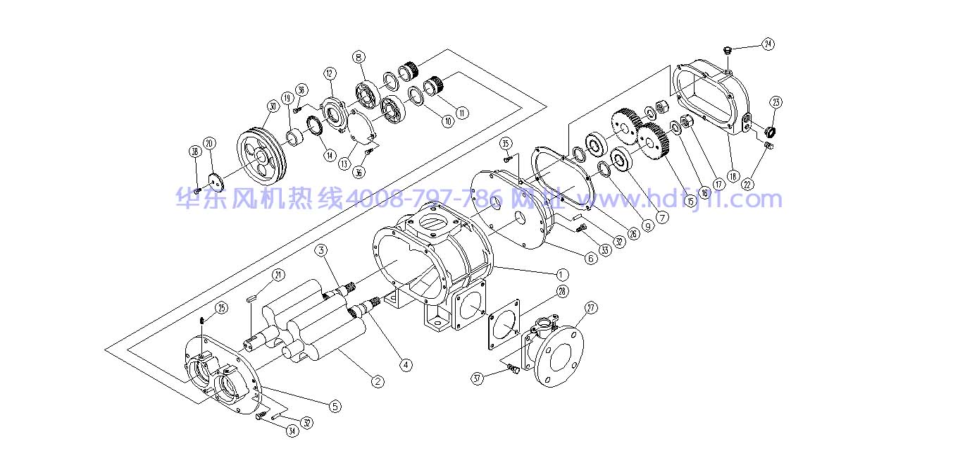 解剖图2.jpg 解剖图2.jpg