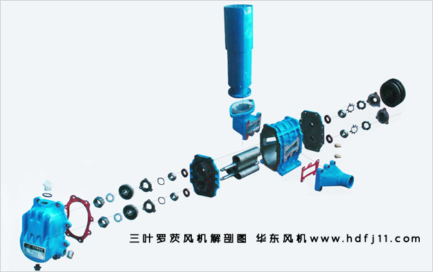 罗茨风机解剖图.jpg 罗茨风机解剖图.jpg