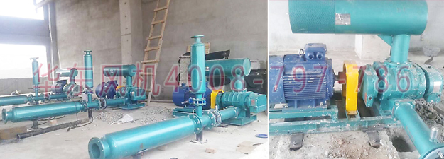污水处理用罗茨风机 污水处理用罗茨风机