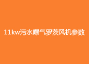 11kw罗茨风机参数.jpg