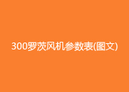 300罗茨鼓风机参数型号.jpg