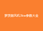 罗茨鼓风机3KW参数.jpg