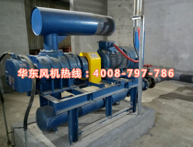 密集型罗茨风机 密集型罗茨风机