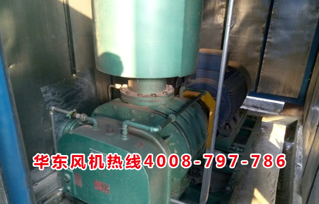 三叶罗茨风机 三叶罗茨风机