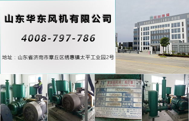 三叶罗茨风机 三叶罗茨风机