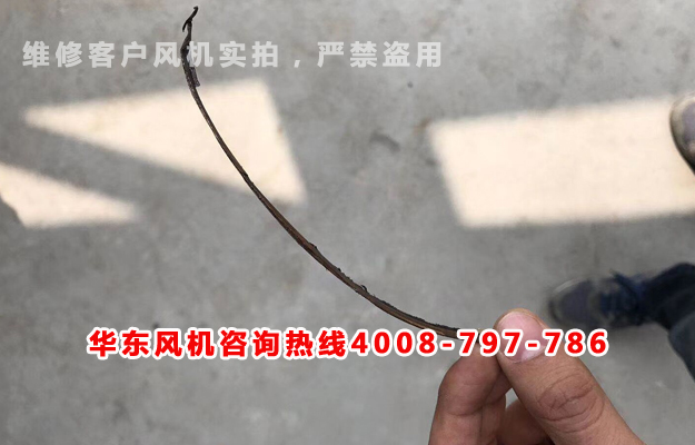 罗茨风机维修保养要点2.jpg 罗茨风机维修保养要点2.jpg