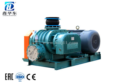 HDSR-100V罗茨真空泵 HDSR-100V罗茨真空泵